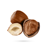 فندق