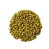 ماش