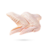 بال‌ مرغ