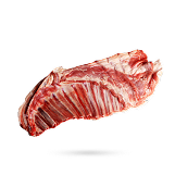 گوشت دنده گوسفند