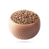 تخم گشنیز