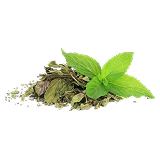 نعنا خشک