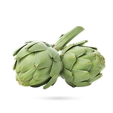 کنگر فرنگی (آرتیشو)