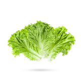 کاهو