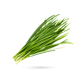 تره کوهی