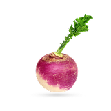 شلغم