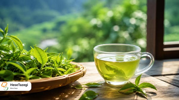 با خواص بی نظیر چای سبز بیشتر آشنا شوید